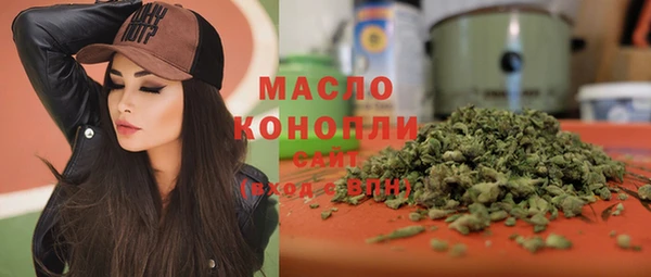 гидра Дмитров