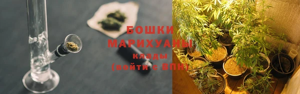молекула духа Белокуриха