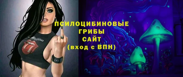 молекула духа Белокуриха