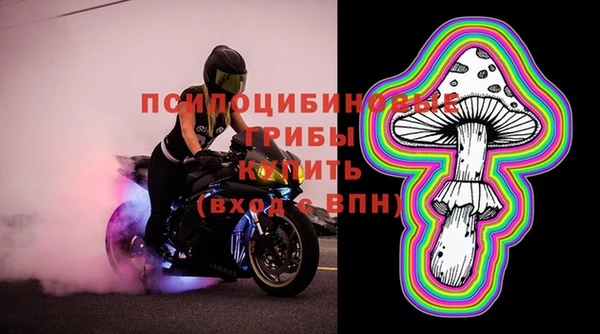 молекула духа Белокуриха