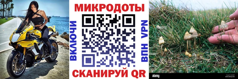 что такое наркотик  Бородино  Галлюциногенные грибы Cubensis 